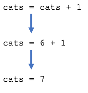 Evaluating an assignment statement